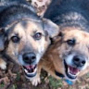 Meet your Posher, Faith